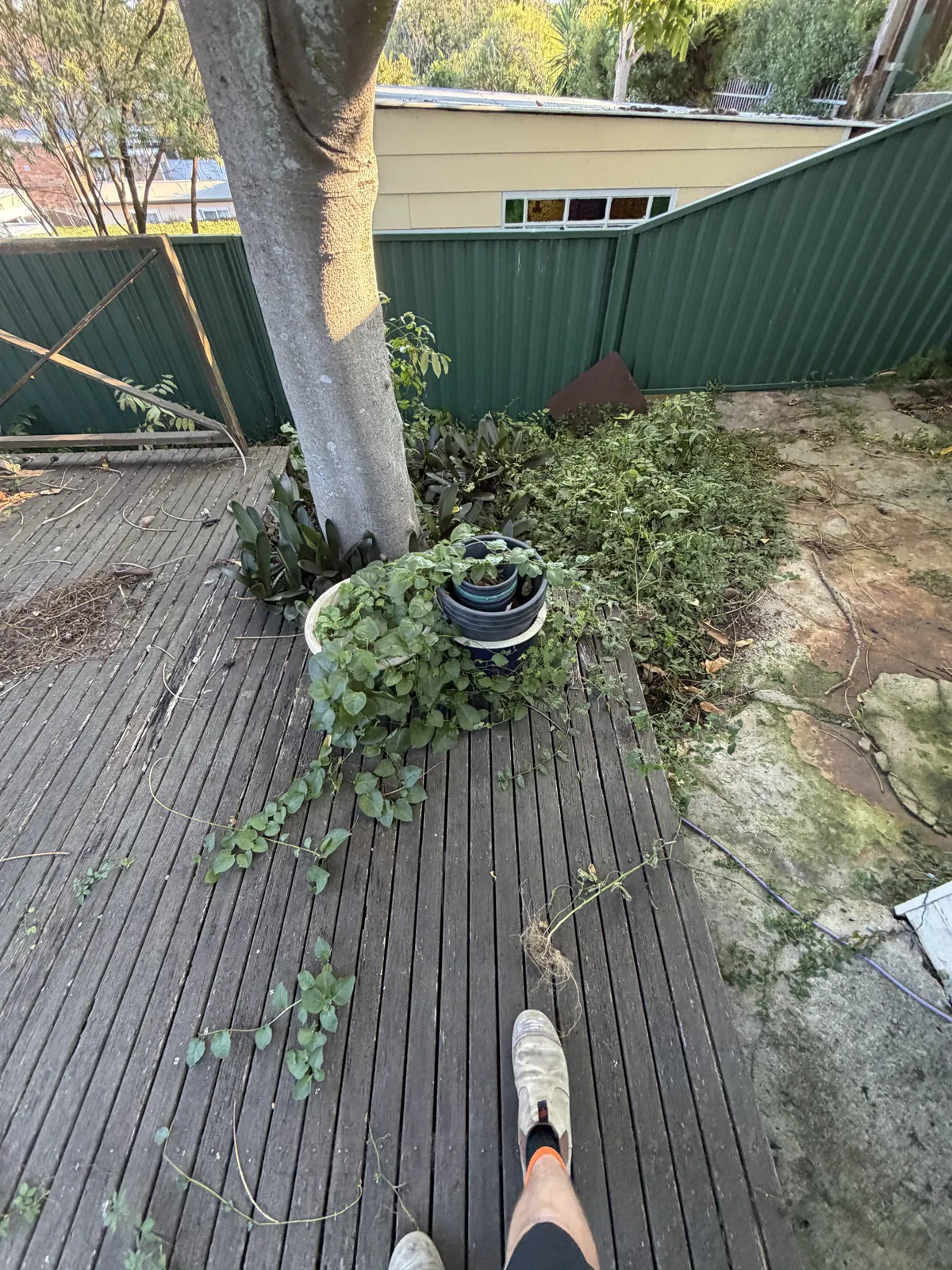 Bexley Deck - before 3