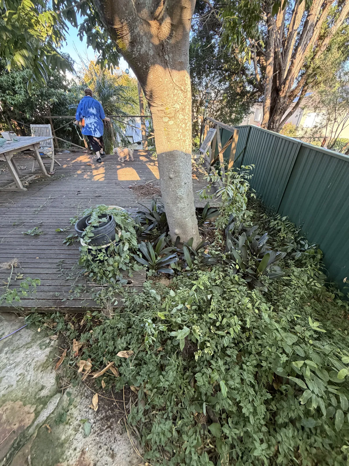 Bexley Deck - before 4