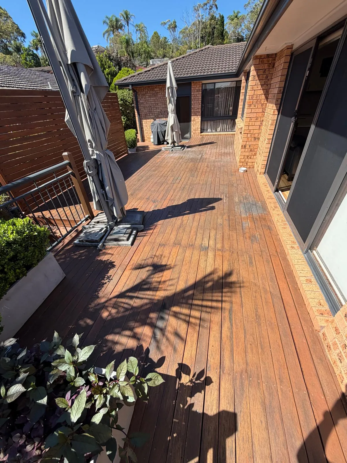 Woronora Deck - before 1